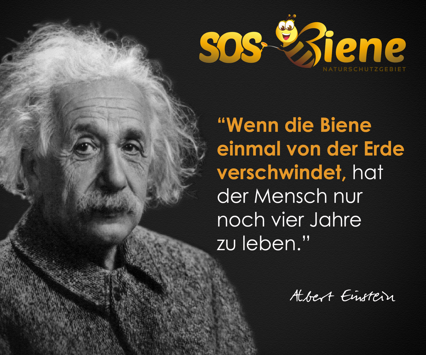 Albert Einstein Zitate Biene