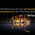 Die Biene wurde zum wichtigsten Lebewesen auf dem Planeten erklärt.