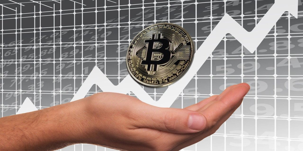 Keine Angst — Cardano Gründer sieht Bitcoin langfristig bei 100.000 US-Dollar