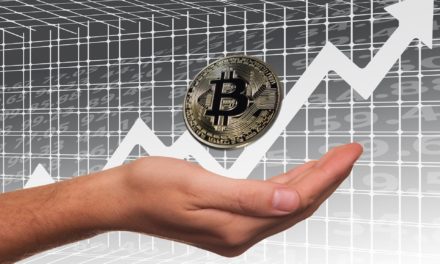 Keine Angst — Cardano Gründer sieht Bitcoin langfristig bei 100.000 US-Dollar