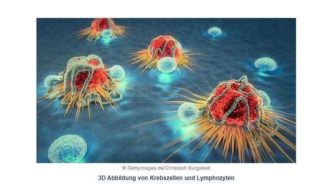 Angst ist unnötig – Wenn Sie wissen, wie das Immunsystem tatsächlich funktioniert