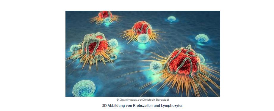 Angst ist unnötig – Wenn Sie wissen, wie das Immunsystem tatsächlich funktioniert