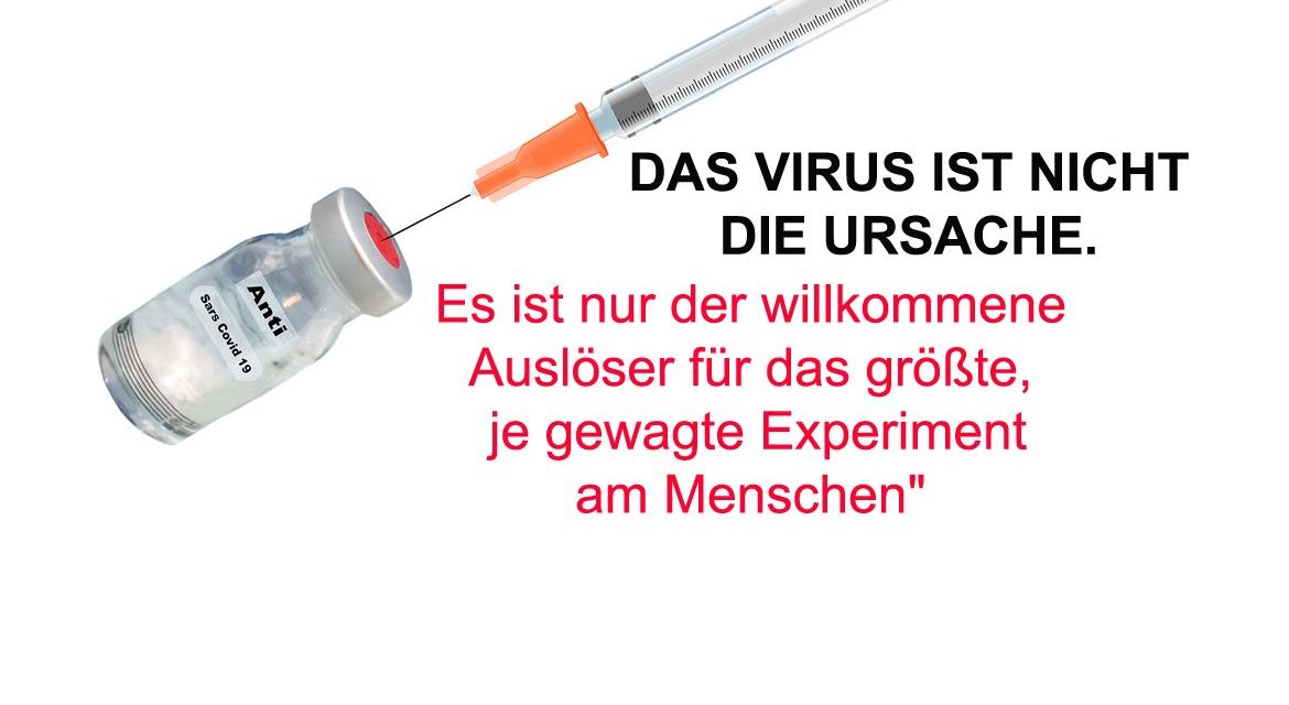 DAS VIRUS IST NICHT DIE URSACHE. Es ist nur der willkommene Auslöser