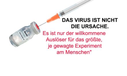 DAS VIRUS IST NICHT DIE URSACHE. Es ist nur der willkommene Auslöser