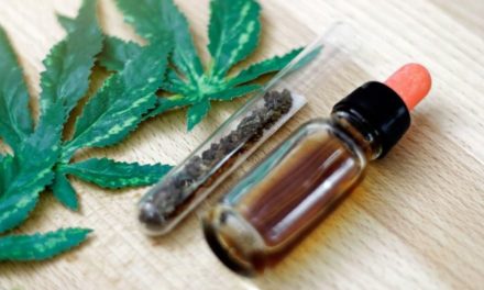 Cannabis kann tödliche COVID-19-Lungenentzündungen reduzieren: Forscher erklären, warum