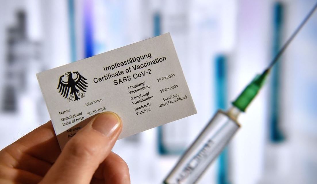 TOTALE Kontrolle: EU-Gipfel stellt Weichen für CoV-Impfpass