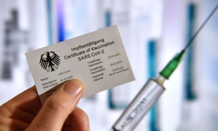 TOTALE Kontrolle: EU-Gipfel stellt Weichen für CoV-Impfpass