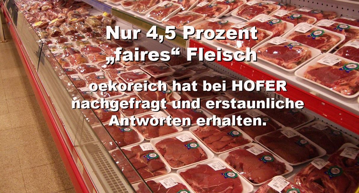 HOFER & co: Nur 4,5 Prozent „faires“ Fleisch im Supermarkt-Regal