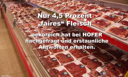 HOFER & co: Nur 4,5 Prozent „faires“ Fleisch im Supermarkt-Regal