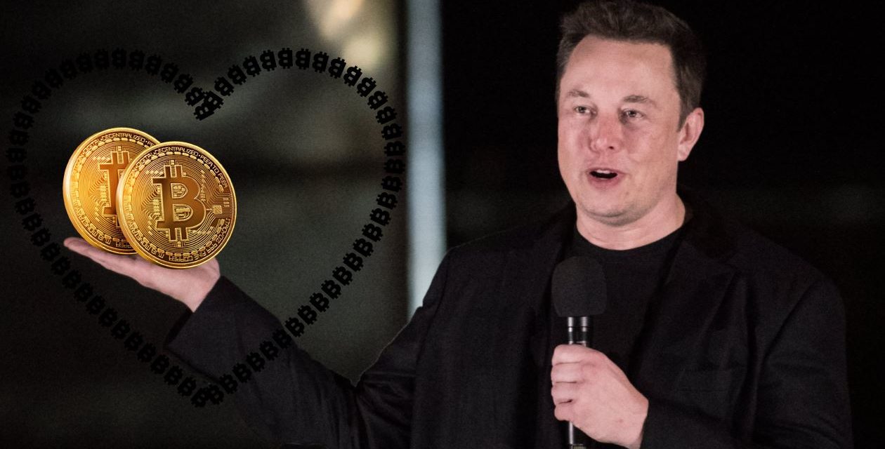 Bitcoin-Höhenflug wegen Elon Musk