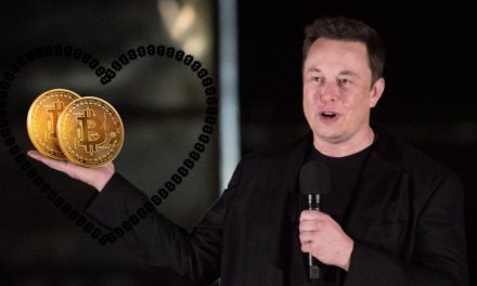Bitcoin-Höhenflug wegen Elon Musk