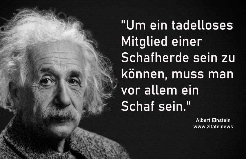 Zitate: Wenn’s Albert Einstein sagt, muss es stimmen. Oder?