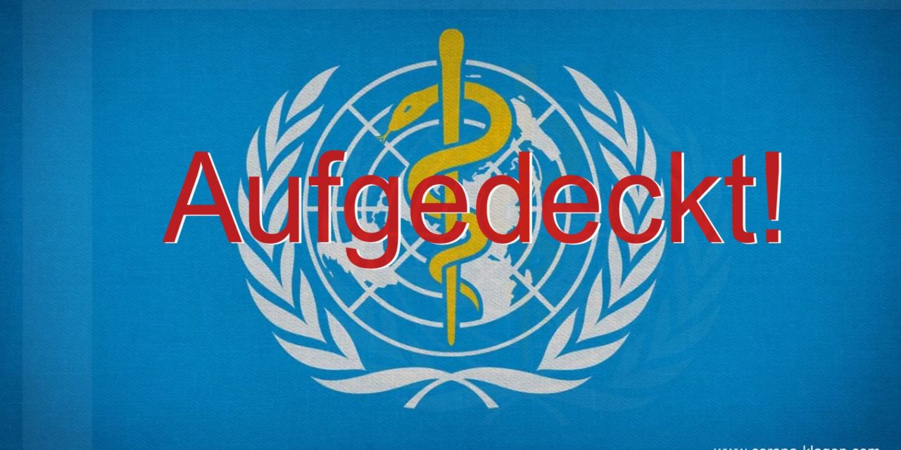Ehemalige WHO-Mitarbeiterin Astrid Stuckelberger: ‚Pandemie der Lügen‘