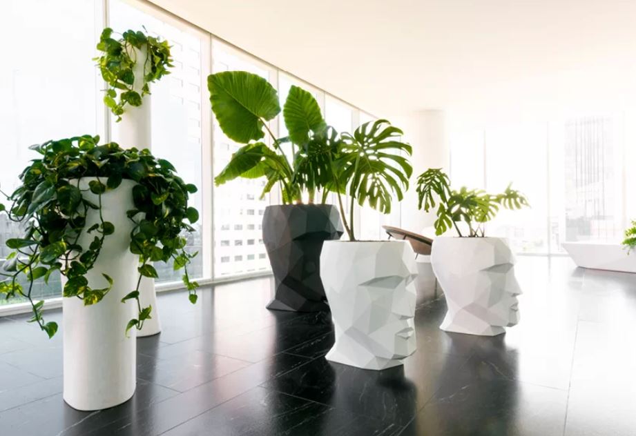 Große moderne Vasen für die Terrasse und Wohnung