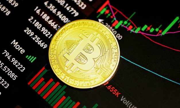 Bitcoin Kurs steigt auf über 22k! Binance investiert 1 Mrd.
