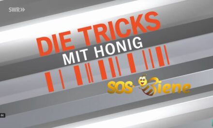 DIESE Honige sind gepantscht! Und diese Honigprodukte täuschen uns